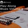 Play-Along Blues - Volume 1