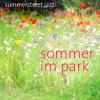 Sommer im Park
