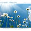 Summer Meadow - Guided Relaxation Journey for a Deep & Restful Sleep