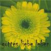 Gottes Liebe leben