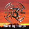 World in Flames