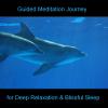 Guided Meditation Journey for Deep Relaxation & Blissful Sleep
