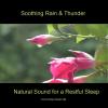 Soothing Rain & Thunder