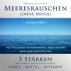 Meeresrauschen ohne Musik - 3 StÃ¤rken mit je 45 Minuten LÃ¤nge - NaturgerÃ¤usche fÃ¼r Wellness, Entspannung, Meditation und zum Einschlafen - gemafrei