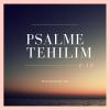 Psalme / Tehilim 1-10 (deutsch)